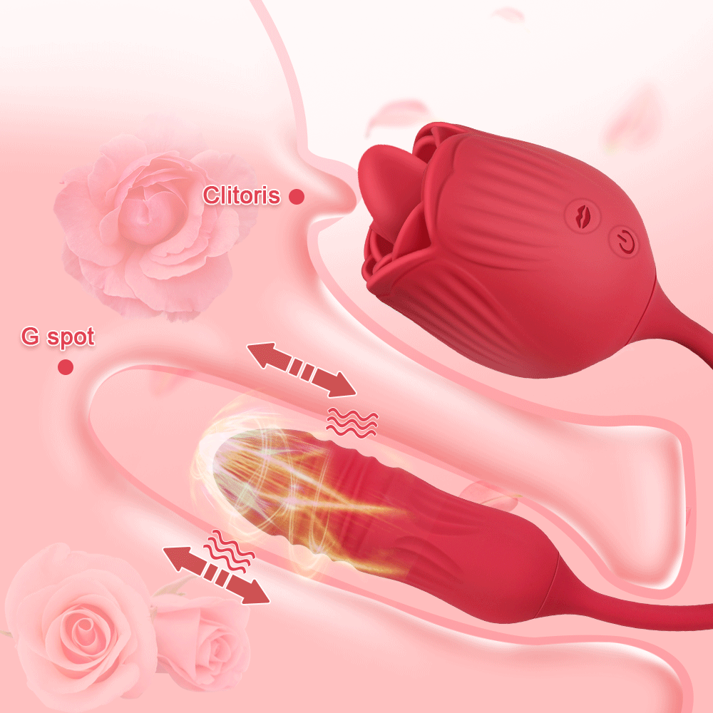 Romantic Rose